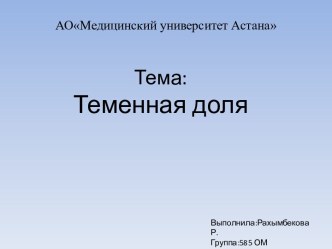 Тема:Теменная доля