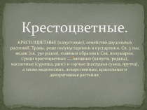 Крестоцветные