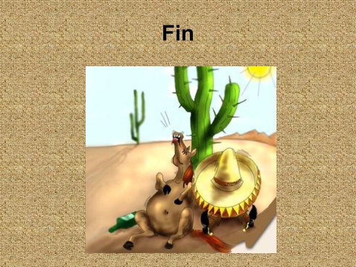 Fin