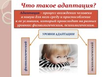 Что такое адаптация?