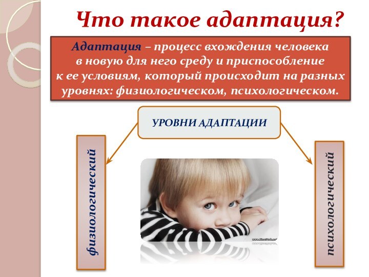 Что такое адаптация?Адаптация – процесс вхождения человека в новую для него среду