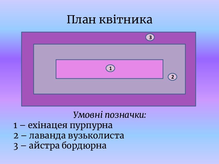 План квітника321Умовні позначки:1 – ехінацея пурпурна2 – лаванда вузьколиста3 – айстра бордюрна