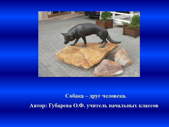 Собака – друг человека.Автор: Губарева О.Ф. учитель начальных классов