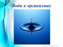 Вода в организмах