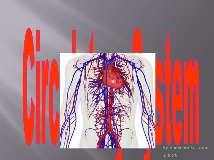 Circulatory SystemBy Shevchenko Taras m.II-25