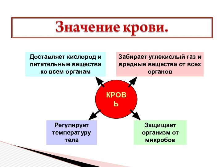 КРОВЬДоставляет кислород и питательные вещества ко всем органамЗабирает углекислый газ и вредные