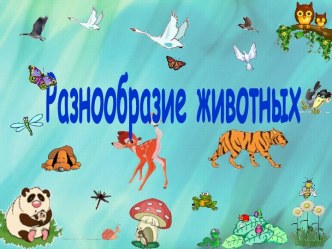 Разнообразие животных