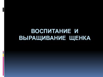 Воспитание и выращивание щенка