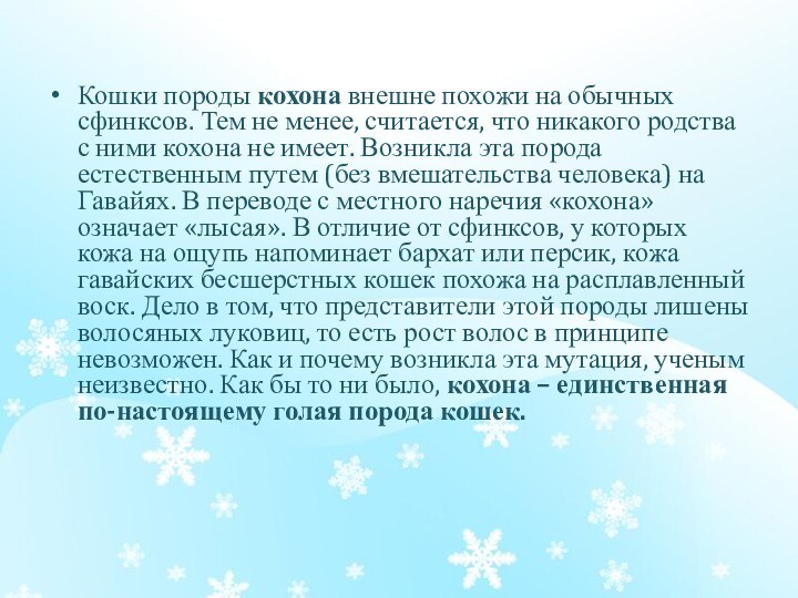 Кошки породы кохона внешне похожи на обычных сфинксов. Тем не менее, считается,