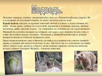 Энциклопедия слова Медведь