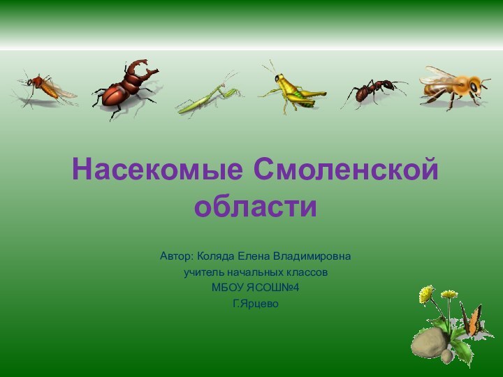 Насекомые Смоленской областиАвтор: Коляда Елена Владимировнаучитель начальных классовМБОУ ЯСОШ№4Г.Ярцево