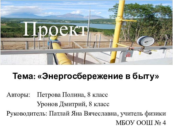 Тема: «Энергосбережение в быту»Авторы:  Петрова Полина, 8 класс