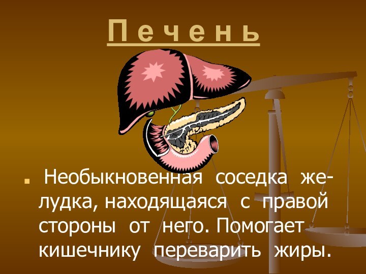 П е ч е н ь Необыкновенная соседка же-лудка, находящаяся с правой