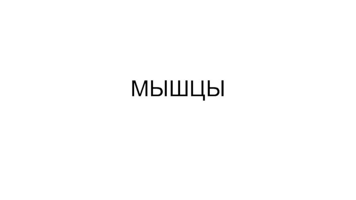 МЫШЦЫ