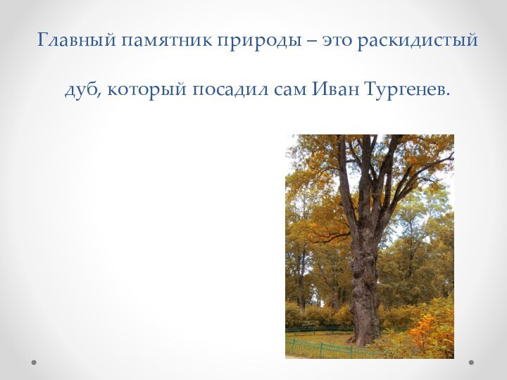 Главный памятник природы – это раскидистый дуб, который посадил сам Иван Тургенев.