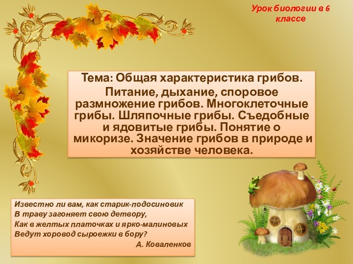 Урок биологии в 6 классеТема: Общая характеристика грибов. Питание, дыхание, споровое размножение