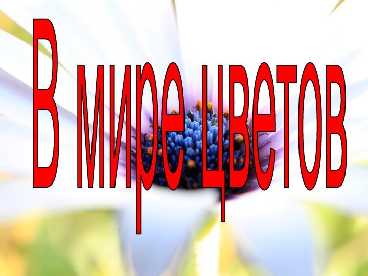 В мире цветов