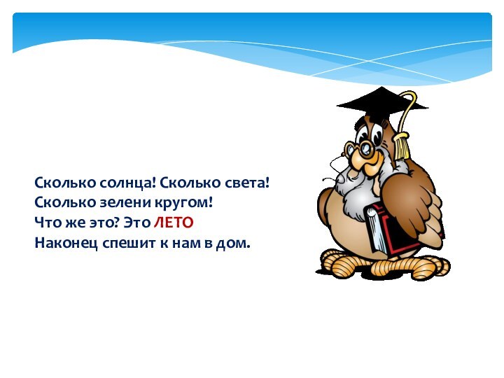 Сколько солнца! Сколько света! Сколько зелени кругом! Что же это? Это ЛЕТОНаконец