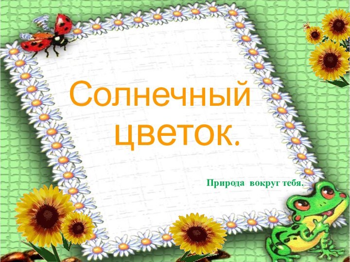 Солнечныйцветок.Природа вокруг тебя.