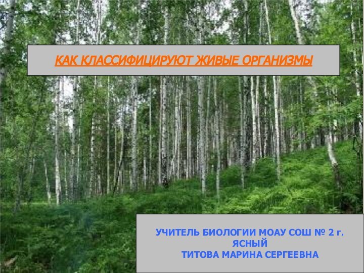 КАК КЛАССИФИЦИРУЮТ ЖИВЫЕ ОРГАНИЗМЫУЧИТЕЛЬ БИОЛОГИИ МОАУ СОШ № 2 г. ЯСНЫЙТИТОВА МАРИНА СЕРГЕЕВНА