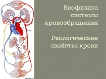 Биофизика системы кровообращенияРеологические свойства крови