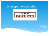 Cybersport organization