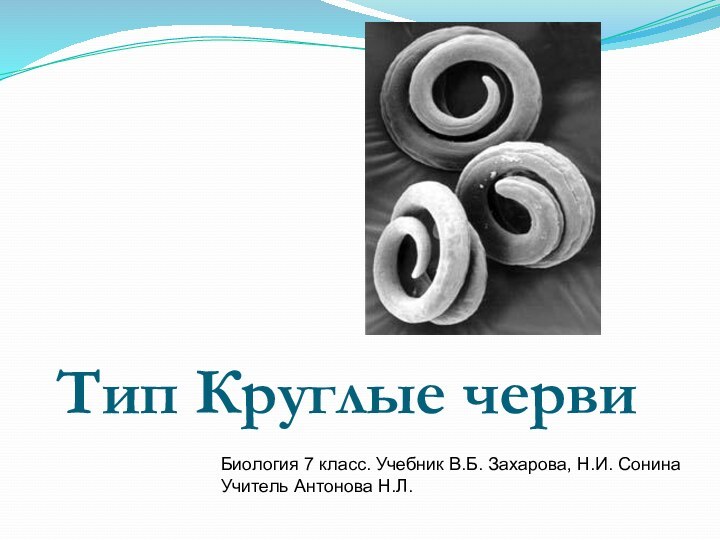 Тип Круглые червиБиология 7 класс. Учебник В.Б. Захарова, Н.И. СонинаУчитель Антонова Н.Л.