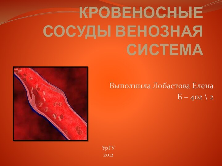 КРОВЕНОСНЫЕ СОСУДЫ ВЕНОЗНАЯ СИСТЕМА Выполнила Лобастова ЕленаБ – 402 \ 2УрГУ2012