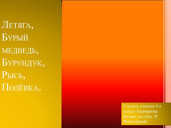 Летяга, Бурый медведь, Бурундук, Рысь, Полёвка.     Сделала ученица