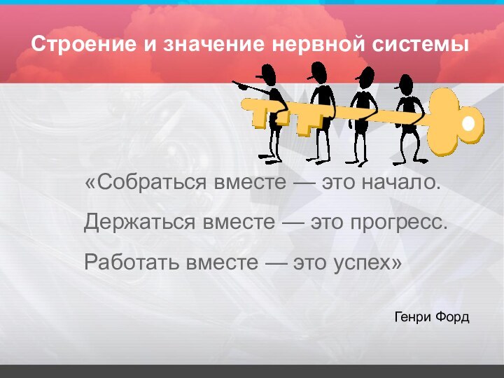 Строение и значение нервной системы«Собраться вместе — это начало. Держаться вместе —