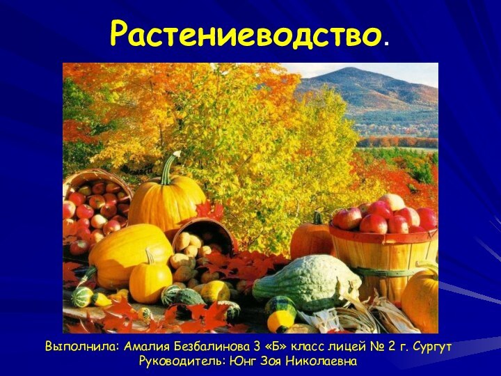 Растениеводство.Выполнила: Амалия Безбалинова 3 «Б» класс лицей № 2 г. СургутРуководитель: Юнг Зоя Николаевна