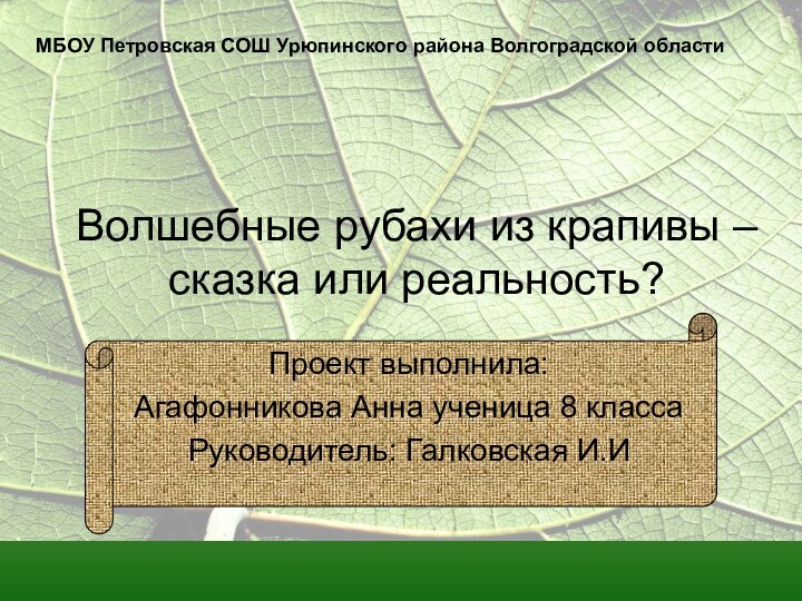 Волшебные рубахи из крапивы – сказка или реальность?Проект выполнила: Агафонникова Анна ученица