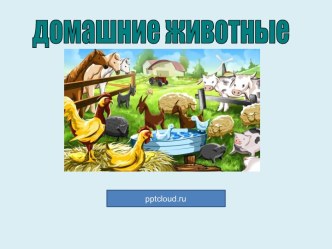 Домашние животные