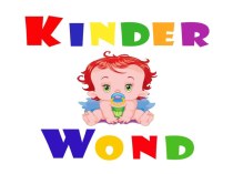 Организация работы бухгалтерской службы на примере OOO Kinder wond