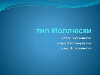 Тип Моллюски