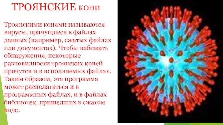 ТРОЯНСКИЕ кониТроянскими конями называются вирусы, прячущиеся в файлах данных (например, сжатых файлах