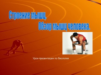 Строение мышц. Обзор мышц человека