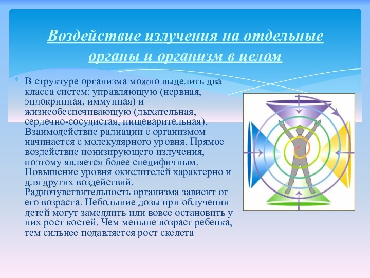 В структуре организма можно выделить два класса систем: управляющую (нервная, эндокринная, иммунная)