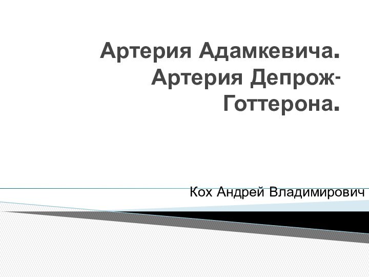 Артерия Адамкевича.  Артерия Депрож-Готтерона.Кох Андрей Владимирович