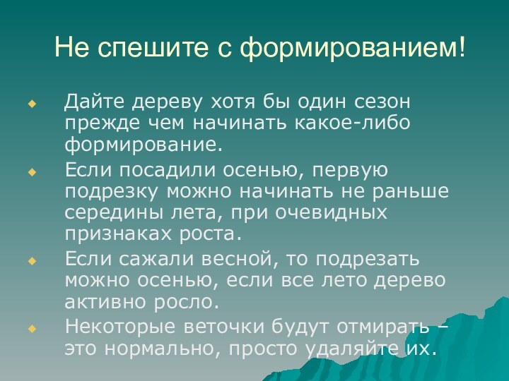 Не спешите с формированием!Дайте дереву хотя бы один сезон прежде чем начинать