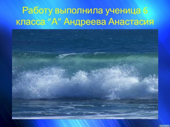 Работу выполнила ученица 6 класса “А” Андреева Анастасия