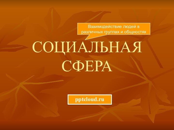 СОЦИАЛЬНАЯ СФЕРАВзаимодействие людей в различных группах и общностях