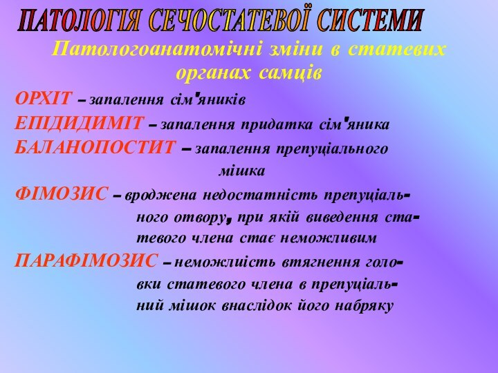 Патологоанатомічні зміни в статевих органах самцівОРХІТ – запалення сім'яниківЕПІДИДИМІТ – запалення придатка