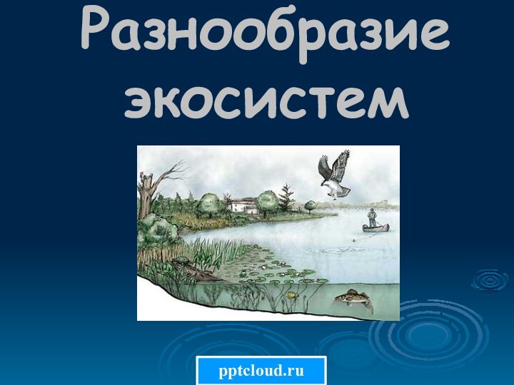 Разнообразие экосистем