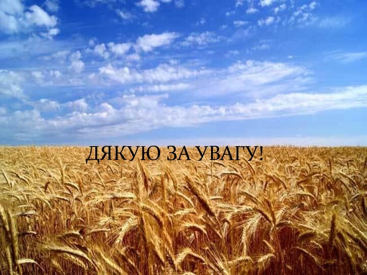 ДЯКУЮ ЗА УВАГУ!