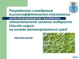 Разработка и внедрение технологии культивирования суспензии