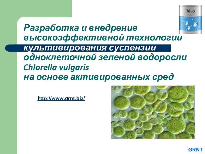 Разработка и внедрение высокоэффективной технологии культивирования суспензии одноклеточной зеленой водоросли  Chlorella