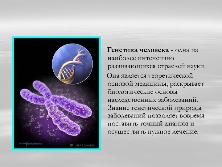 Генетика человека - одна из наиболее интенсивно