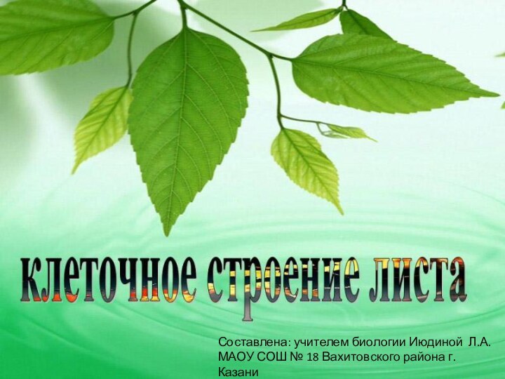 Составлена: учителем биологии Июдиной Л.А. МАОУ СОШ № 18 Вахитовского района г. Казани