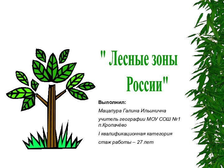 Выполнил: Мацапура Галина Ильиничнаучитель географии МОУ СОШ №1 п.КропачёвоI квалификационная категориястаж